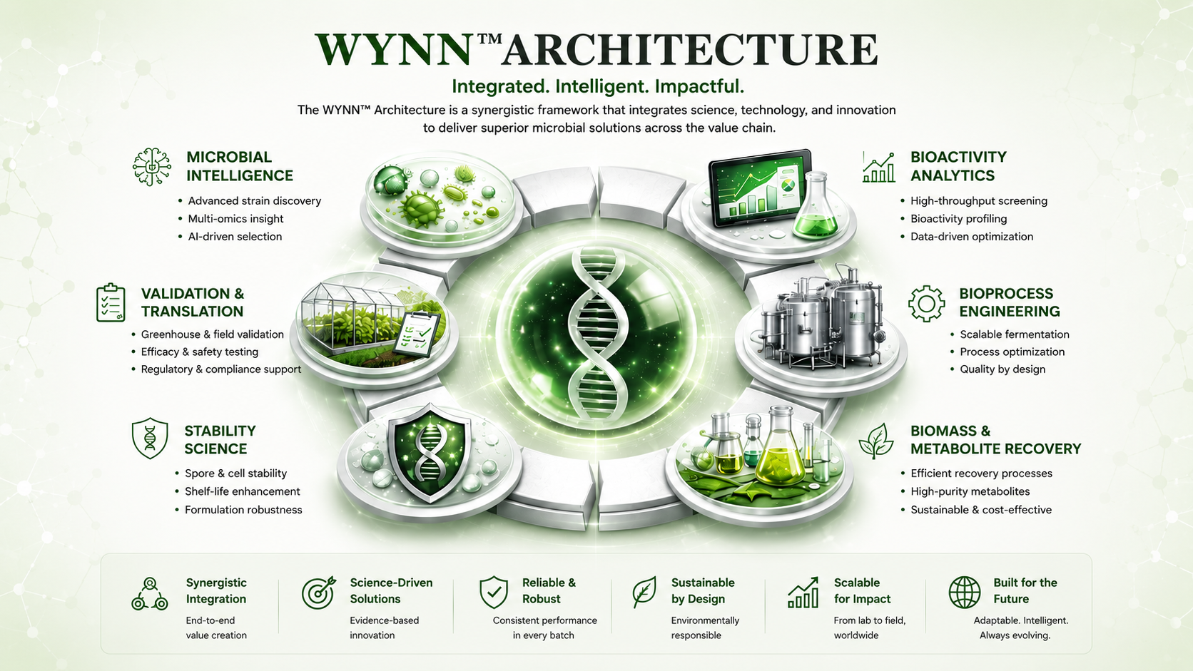 Wynn six-pillar architecture diagram showing the platform flow